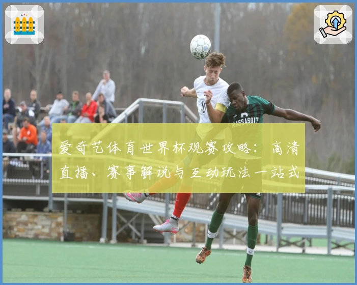 爱奇艺体育世界杯观赛攻略：高清直播、赛事解说与互动玩法一站式体验