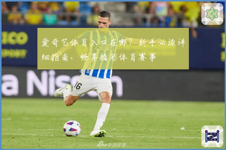 爱奇艺体育入口在哪？新手必读详细指南，畅享精彩体育赛事