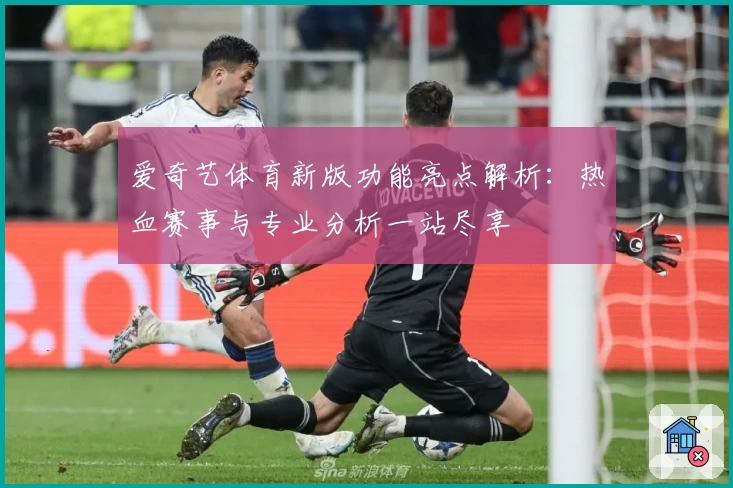 爱奇艺体育新版功能亮点解析：热血赛事与专业分析一站尽享