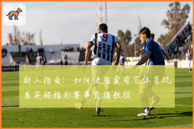 新人指南：如何使用爱奇艺体育观看英超精彩赛事直播教程