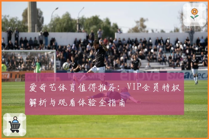 爱奇艺体育值得推荐：VIP会员特权解析与观看体验全指南